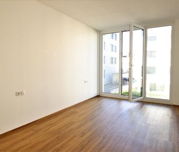 Moderne 2-Zi-Wohnung mit Wintergarten zu vermieten! - Photo 2