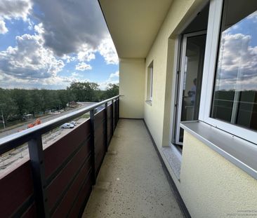 Helle 3-Zimmer-Wohnung mit Balkon und optimaler Anbindung! - Foto 4