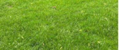 Haushälfte mit 2 Zimmer 60qm + Garten *Whirlpool* Haus - Photo 1