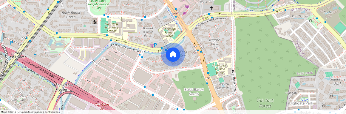 290B BUKIT BATOK STREET 24, 653290, Singapore