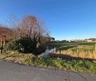 Gezellige vrijstaande woning met 1 slaapkamer en zeer grote tuin me... - Photo 1