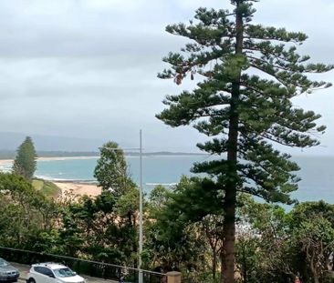 Wollongong CBD - Photo 6