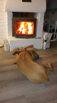 Knektbacken, Sorunda - Foto 1