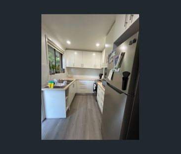 Light Filled & Spacious in a small quiet block - Photo 5