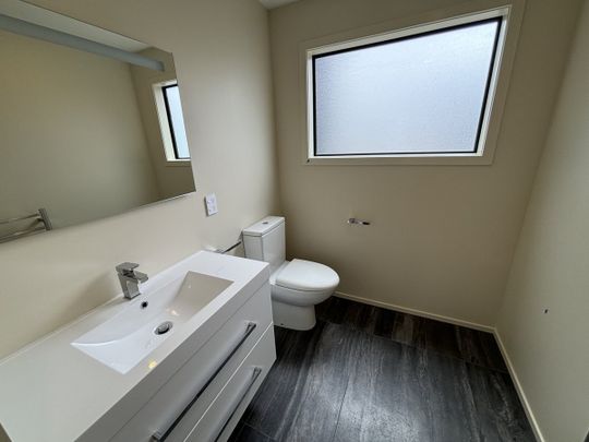 8 Adesanya Close, West End, Palmerston North - Photo 1