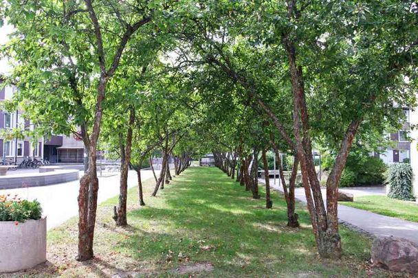 Flamman, Västanågatan 18.307 - Photo 1