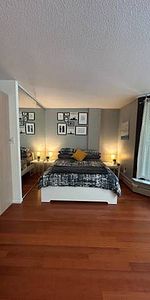 Bachelor Fully Furnished -pet friendly - Photo 4