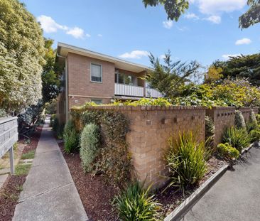 8/94 Liddiard Street, Hawthorn VIC 3122 - Apartment For Rent | Domain - Photo 4