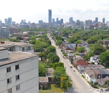 230 Oak Street - Photo 5