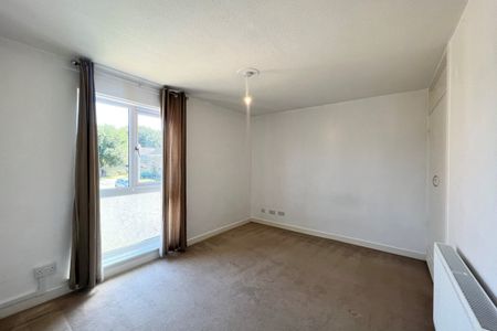 Redwood Lane - Photo 5