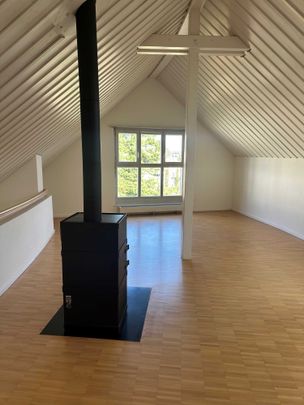 4.5 Zimmer, 133 m², 2. Stock - Photo 1