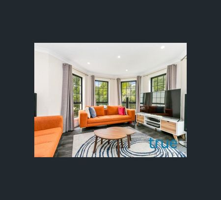 10 Emily Street, Leichhardt, NSW 2040 - Photo 2