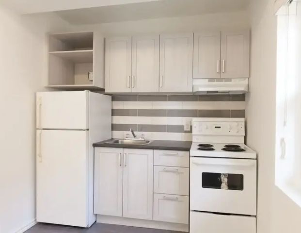 539 Prince-Arthur west | 539 Prince-Arthur west, Montreal - Photo 1