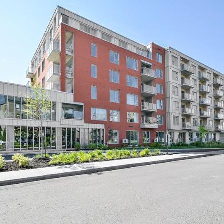 3 1/2 - Brossard - 1 775 $/mois - Photo 4