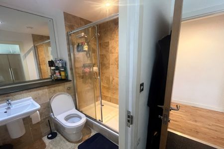 Alexandra Tower, Princes Parade, L3 - Photo 5