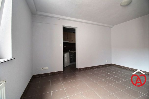 Location Appartement 1 pièce 23m² BARR 67140 - Photo 1