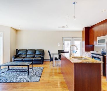 1455 Rue St-Jacques, #305 - Photo 1