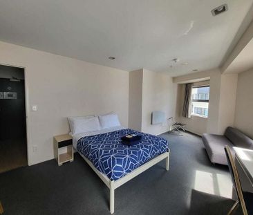 Huge fully furnished Whitaker studio. - Photo 2