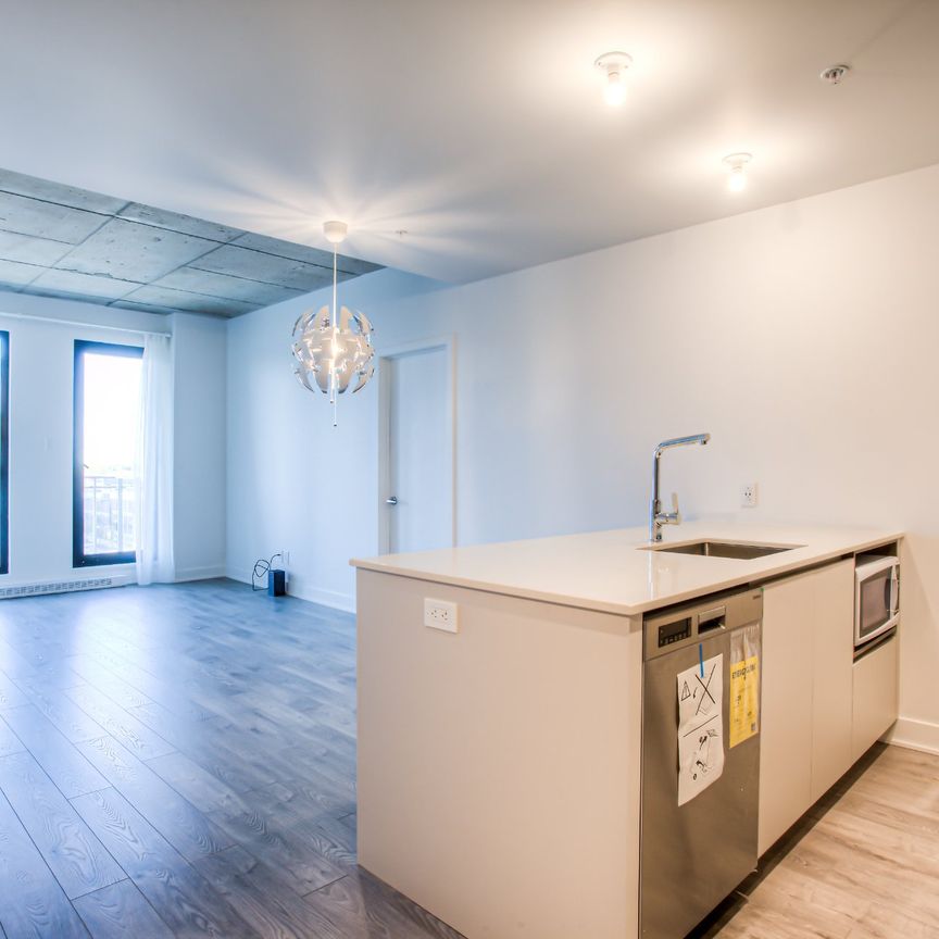 Condo for rent, Montréal (Saint-Laurent) - Photo 1