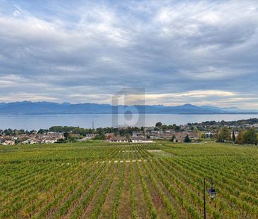 AVEC VUE PANORAMIQUE SUR LE LÉMAN - Foto 5
