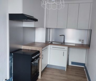 Location Appartement 1 pièce 30m² ALTKIRCH 68130 - Photo 4