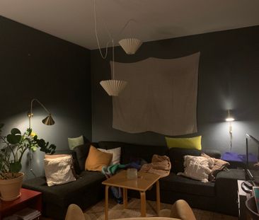 Sturegatan, Malmö - Photo 2