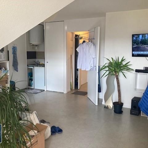 Location Appartement 1 pièce 28m² TOUQUES 14800 - Photo 1