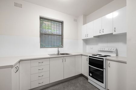 Unit 2/9 Salisbury Rd, Kensington NSW 2033 - Apartment For Rent | Domain - Photo 3