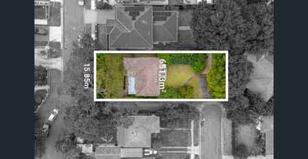 Charming Single-Level Home in a Peaceful, Convenient Setting - Photo 2