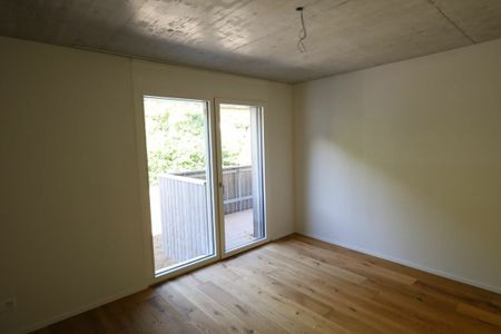"Neubau 2.5-Zimmerwohnung in Liestal" - Foto 2