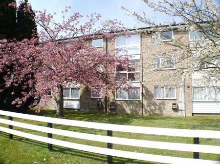 2 bedroom flat to rent - Photo 5