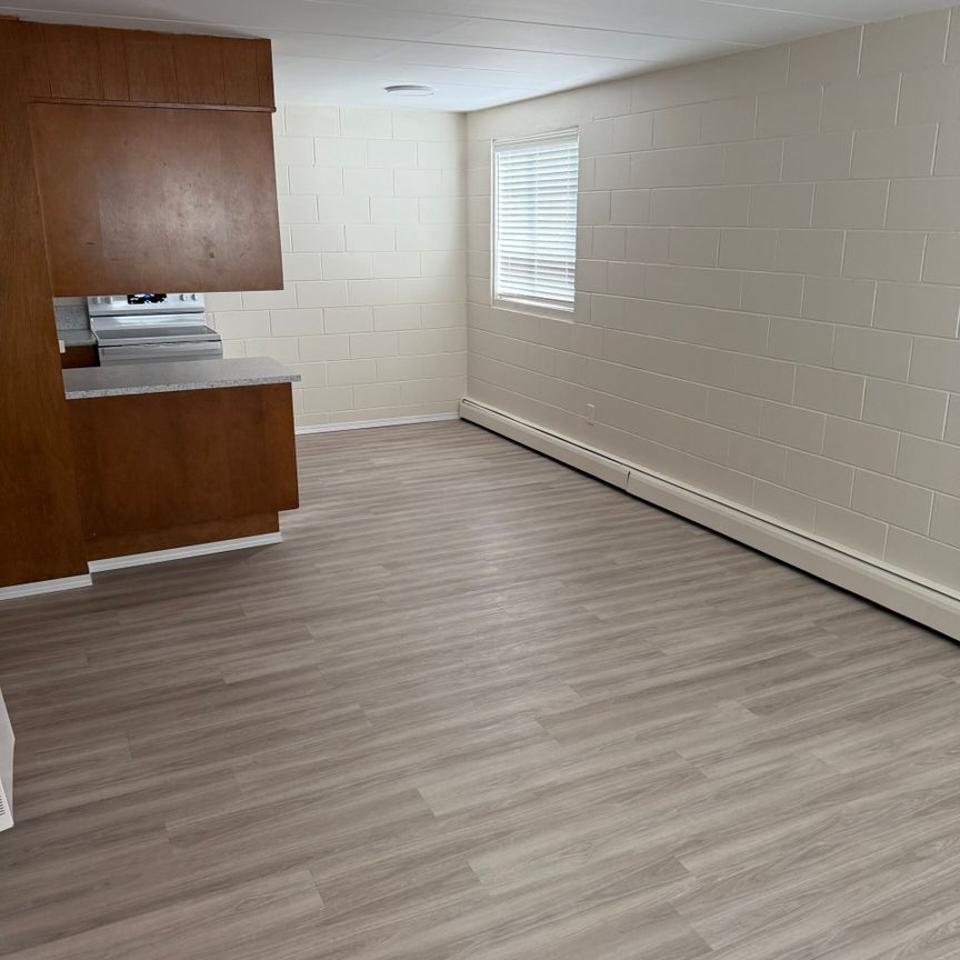 1 BDRM/1 BATH - 2315 7TH ST E - Available NOV 1 - Photo 1