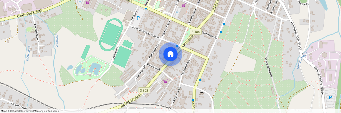 Oelsnitzer Str. 12, 08223 Falkenstein