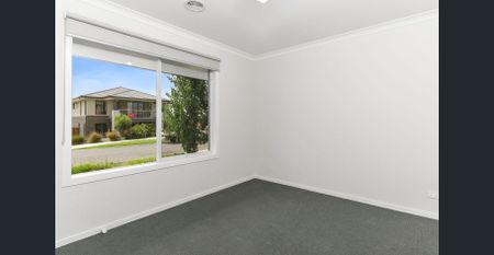 Low Maintenance Living - Photo 4