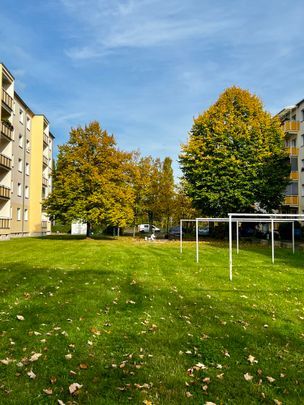 Charmante 2-Zi.-Wohnung an der Kiesgrube Leuben mit EBK! - Foto 1