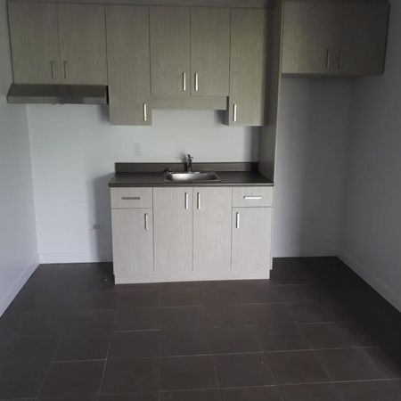 SUPERBE 3 ½ ENTIÈREMENT RÉNOVÉ - LIMOILOU - 995$ CHAUFFÉ,EAU CHAUDE - DISPONIBLE MAINTENANT OU POUR SEPTEMBRE - Photo 3