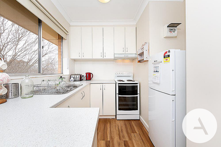 31/41 David St, Turner ACT 2612 - Apartment For Rent | Domain - Photo 3