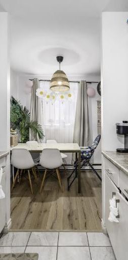 Appartement 4 ½ à louer Lévis juillet 2026 - Photo 1