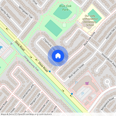 10 Chipmunk Crescent, Brampton