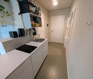 1-Zimmer-Wohnung 01.03. - 30.04.26 auch bis Mai, Juni möglich - Photo 1