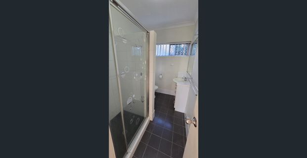 Light-filled and breezy, freshly painted - Photo 1