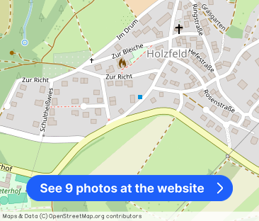 Attraktive Mietwohnung in Holzfeld verfügbar - Photo 1