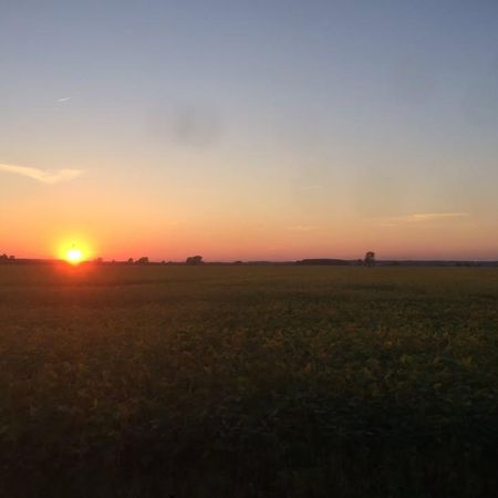 5 1/2 à louer Beloeil - Photo 4