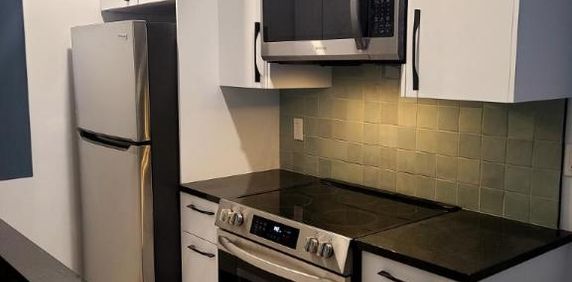 2 1/2 - Montréal (Le Plateau Mont-Royal) - 1 635 $/mois - Photo 2