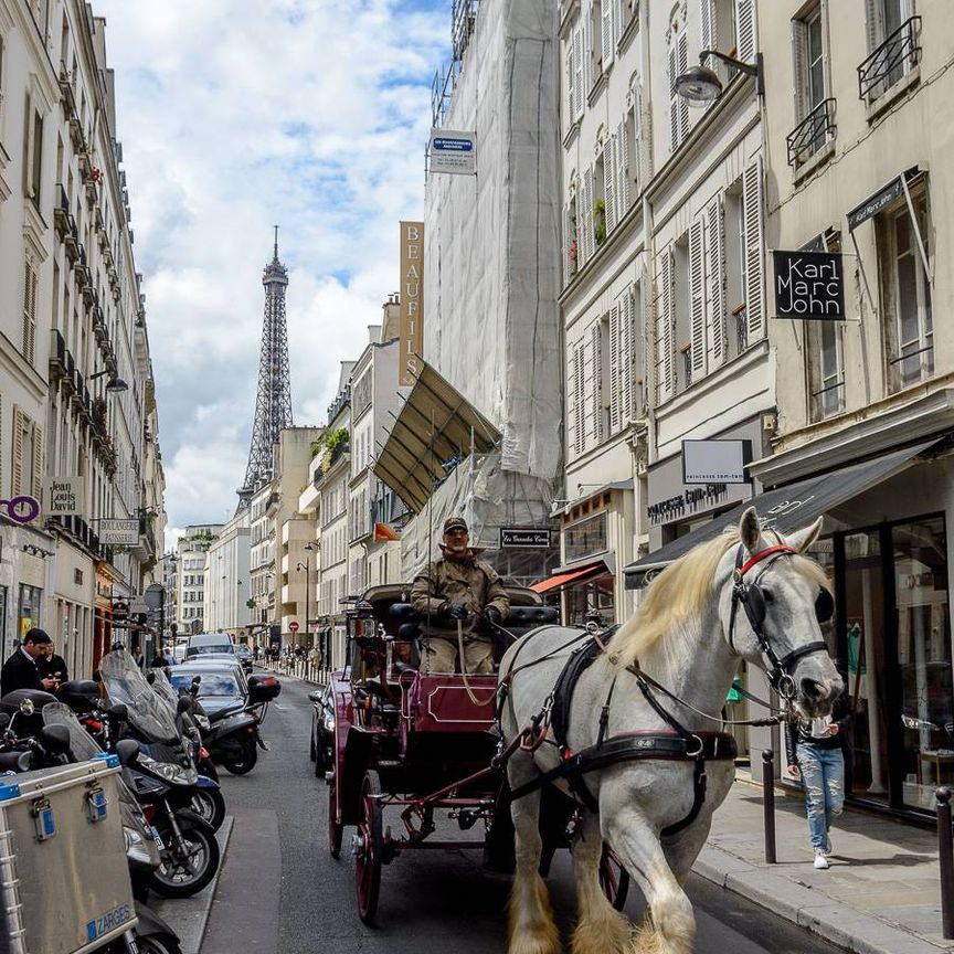 Logement à Paris, Location meublée - Photo 1