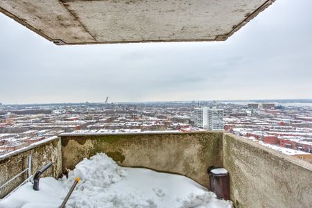 Condo for rent, Montréal (Le Plateau-Mont-Royal) - Photo 3
