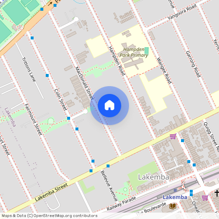 23 McDonald St, NSW 2195, Wiley Park