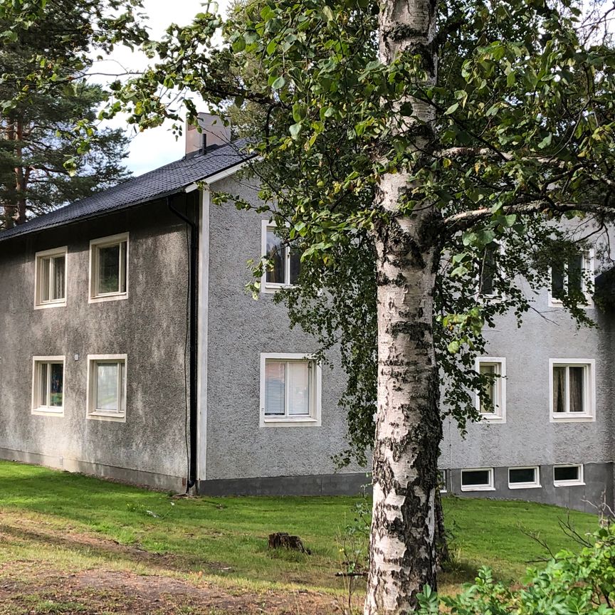 Blå vägen 245 - Photo 2