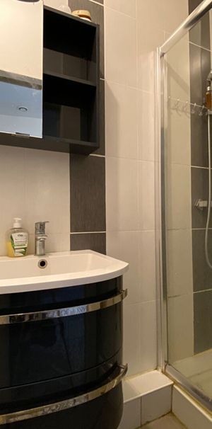 Location Appartement 1 pièce 25m² ROANNE 42300 - Photo 1