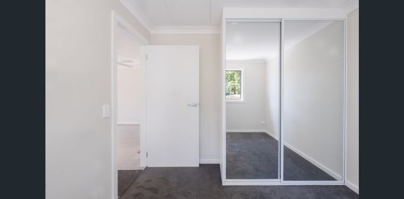 Brand New Two Bedroom Granny Flat - Photo 2